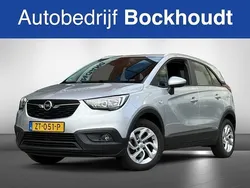 Grijs Gebruikt 2019 Opel Crossland X Edition SUV | € 12.400 (Eerlijke prijs)