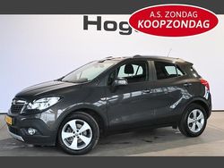 Grijs Gebruikt 2015 Opel Mokka Selection SUV | € 8.940 (Eerlijke prijs)