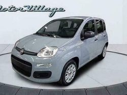 Grijs Gebruikt 2020 Fiat Panda Easy Hatchback | € 10.200 (Goede deal)