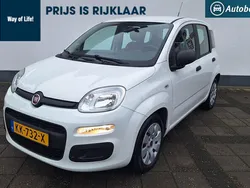 Wit Gebruikt 2016 Fiat Panda Hatchback | € 6.750 (Eerlijke prijs)