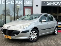 Grijs Gebruikt 2007 Peugeot 307 Premium Hatchback | € 1.499