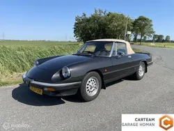 Grijs Gebruikt 1984 Alfa Romeo Spider Cabriolet | € 14.950