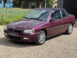 Paars Gebruikt 1997 Ford Escort Cabriolet Cabriolet | € 6.750