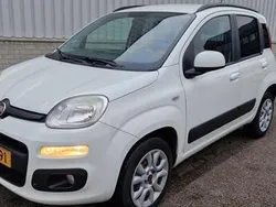Wit Gebruikt 2013 Fiat Panda Lounge Hatchback | € 2.750 (Duur)