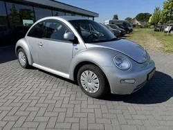 VW Beetle