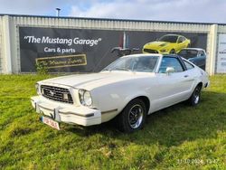 Wit Gebruikt 1977 Ford Mustang | € 21.500