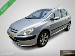 Grijs Gebruikt 2003 Peugeot 307 Hatchback | € 1.499 (Duur)