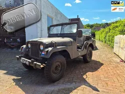 Groen Gebruikt 1956 Jeep Willys | € 9.750