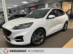 Wit Gebruikt 2020 Ford Kuga ST-Line SUV | € 22.750 (Eerlijke prijs)