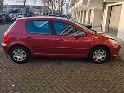 Gebruikt 2006 Peugeot 307 | € 650 (Super prijs)