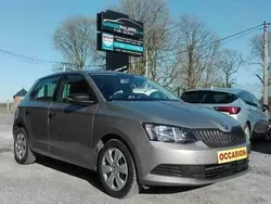 Grijs Gebruikt 2017 Skoda Fabia Active Sedan | € 8.750