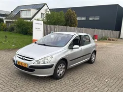 Grijs Gebruikt 2003 Peugeot 307 Hatchback | € 1.250 (Goede deal)