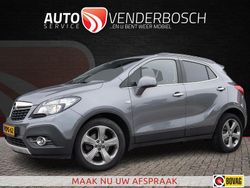 Grijs Gebruikt 2013 Opel Mokka Cosmo SUV | € 10.985 (Iets duurder)