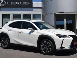 Wit Gebruikt 2022 Lexus UX 250h SUV | € 32.940 (Eerlijke prijs)