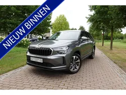 Grijs Gebruikt 2024 Skoda Kodiaq Business Line SUV | € 48.450 (Duur)