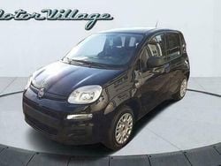Zwart Gebruikt 2020 Fiat Panda Easy Hatchback | € 9.900 (Goede deal)