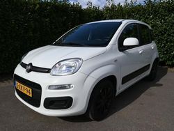 Wit Gebruikt 2014 Fiat Panda Hatchback | € 5.450 (Duur)