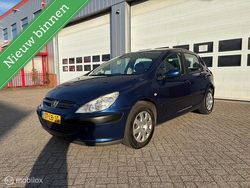 Blauw Gebruikt 2002 Peugeot 307 Hatchback | € 1.499 (Eerlijke prijs)
