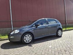 Grijs Gebruikt 2014 Fiat Punto Evo Pop Hatchback | € 3.499 (Eerlijke prijs)