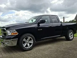 Zwart Gebruikt 2009 Dodge Ram Pickup | € 15.500