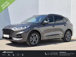 Grijs Gebruikt 2024 Ford Kuga ST-Line SUV | € 31.435 (Eerlijke prijs)