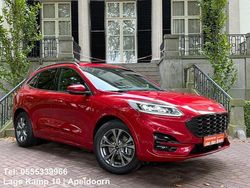 Rood Gebruikt 2020 Ford Kuga ST-Line X SUV | € 21.445 (Eerlijke prijs)