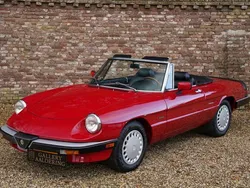 Rood Gebruikt 1988 Alfa Romeo Spider Cabriolet | € 26.500