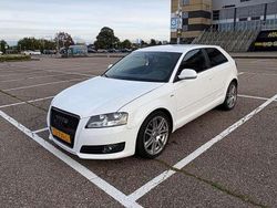 Wit Gebruikt 2009 Audi A3 Attraction Stationwagen | € 3.750 (Goede deal)