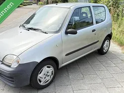 Grijs Gebruikt 2005 Fiat Seicento Young Hatchback | € 799 (Eerlijke prijs)