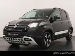 Nieuw 2025 Fiat Panda Hatchback | € 22.295 (Eerlijke prijs)