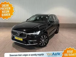 Rood Gebruikt 2022 Volvo XC40 Plus SUV | € 30.850 (Super prijs)