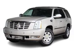 Beige Gebruikt 2009 Cadillac Escalade SUV | € 22.500