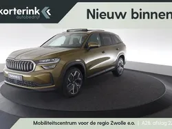 Bruin Nieuw 2024 Skoda Kodiaq Business Line SUV | € 59.900