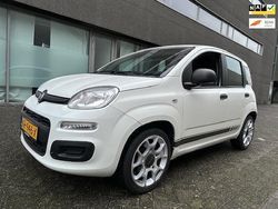 Wit Gebruikt 2017 Fiat Panda Hatchback | € 6.949 (Eerlijke prijs)