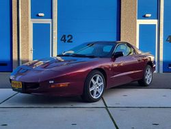 Gebruikt 1995 Pontiac Firebird Coupé | € 2.675