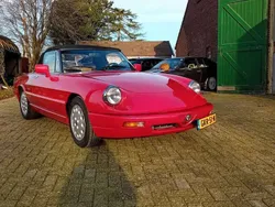 Rood Gebruikt 1990 Alfa Romeo Spider Quadrifoglio Verde Cabriolet | € 17.500