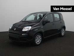 Zwart Gebruikt 2025 Fiat Panda Hatchback | € 18.900 (Goede deal)