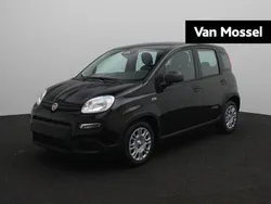 Zwart Gebruikt 2025 Fiat Panda Hatchback | € 19.440 (Eerlijke prijs)