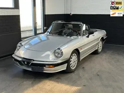 Grijs Gebruikt 1988 Alfa Romeo Spider Quadrifoglio Verde Cabriolet | € 17.950