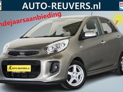 Grijs Gebruikt 2016 Kia Picanto Hatchback | € 9.900 (Eerlijke prijs)