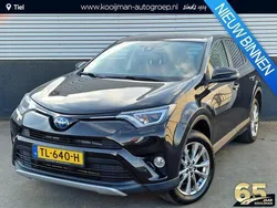 Bruin Gebruikt 2016 Toyota RAV4 Business Edition SUV | € 22.400 (Iets duurder)
