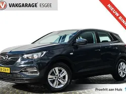 Grijs Gebruikt 2018 Opel Grandland X Edition SUV | € 16.940 (Eerlijke prijs)