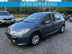 Grijs Gebruikt 2005 Peugeot 307 Hatchback | € 2.495 (Eerlijke prijs)