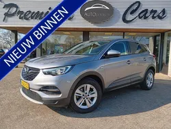 Grijs Gebruikt 2020 Opel Grandland X Business SUV | € 19.925 (Eerlijke prijs)