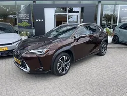 Bruin Gebruikt 2019 Lexus UX 250h Executive Line SUV | € 26.445