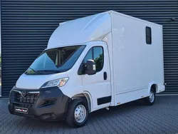 Wit Gebruikt 2023 Opel Movano Van | € 57.900