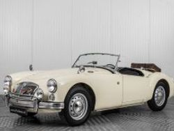 Wit Gebruikt 1961 MG 1600 Cabriolet | € 32.500