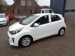 Wit Gebruikt 2019 Kia Picanto Hatchback | € 9.695 (Eerlijke prijs)