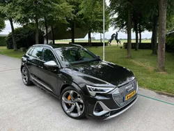 Bruin Gebruikt 2021 Audi e-tron SUV | € 42.950 (Super prijs)