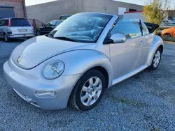 VW Beetle